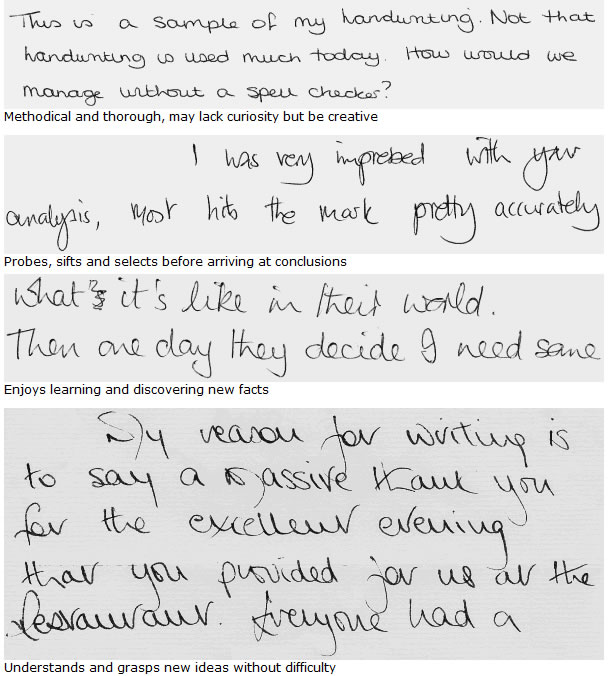 Handwritten text on four gray rectangles with black writing describing personality traits and characteristics